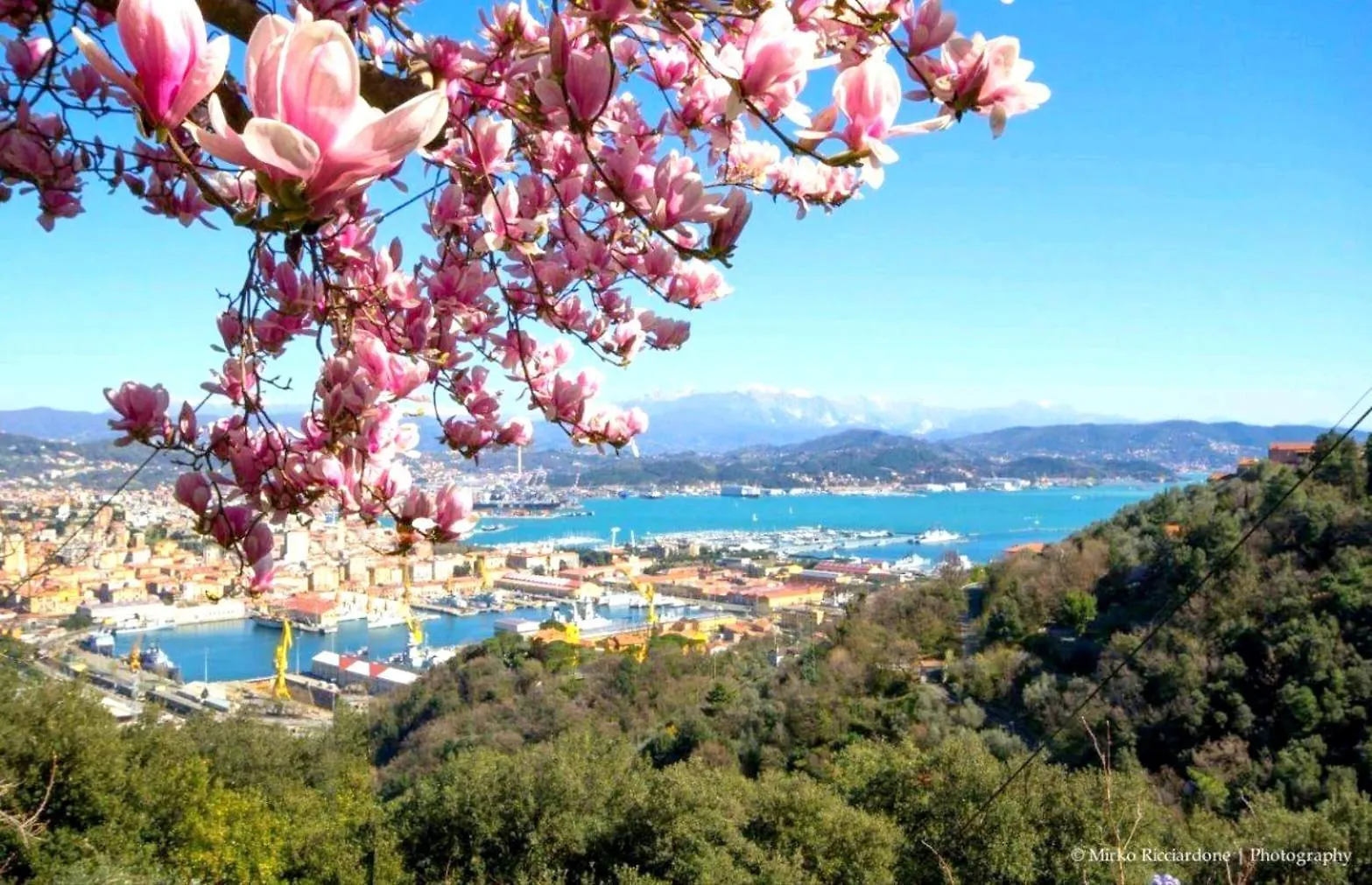 Casa Tartaruga Villa La Spezia