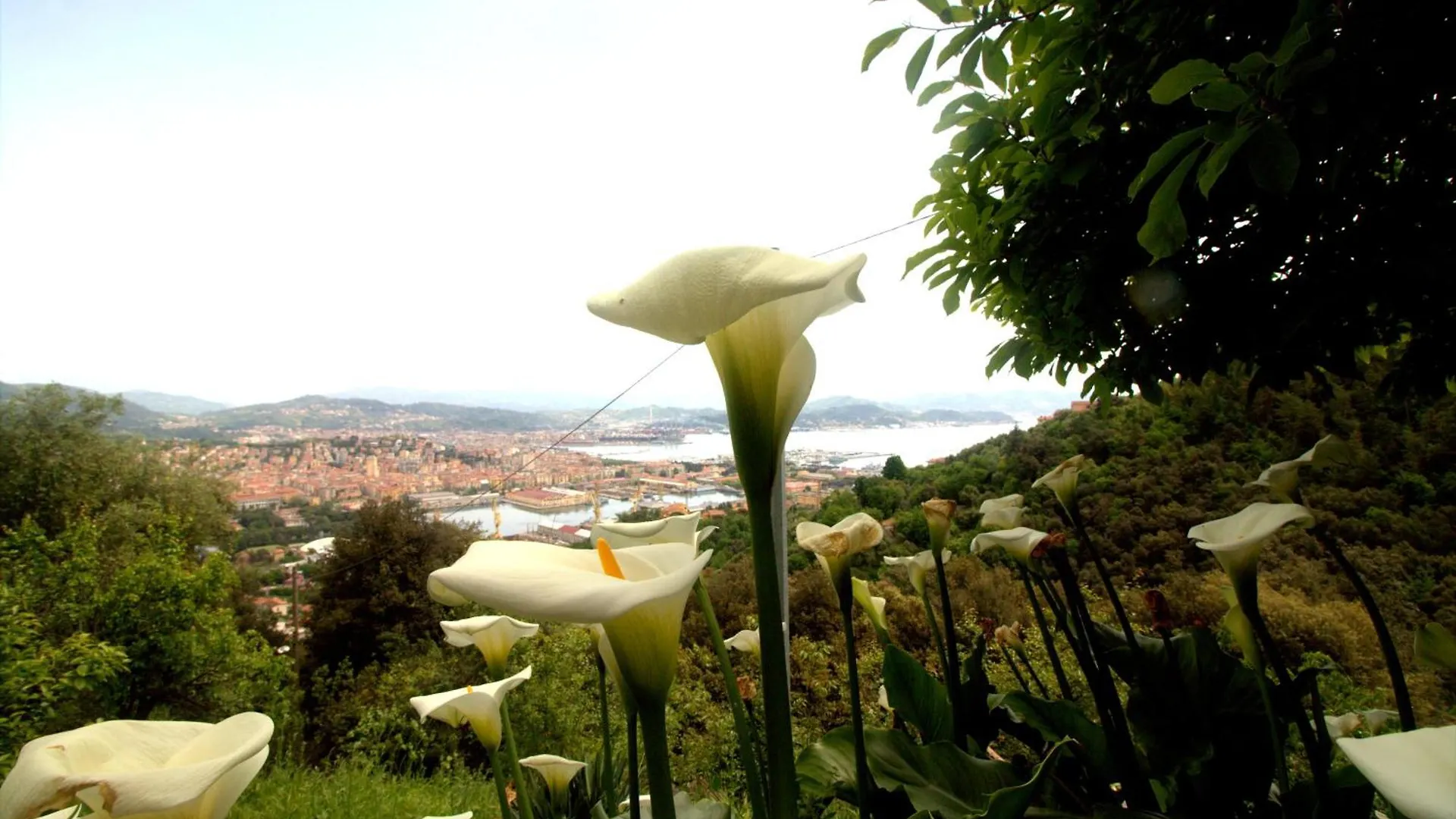 Casa Tartaruga Villa La Spezia Feriehus